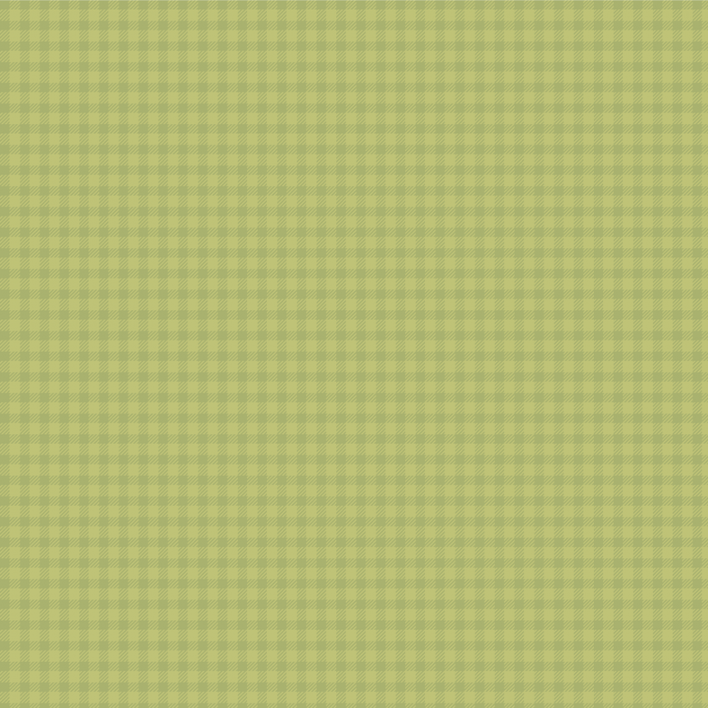 Xadrez Verde Melancia - Coleção Nova Melancia - Fabricart - 50cm X 150cm